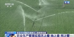 <b>不消再靠老经验去判</b>